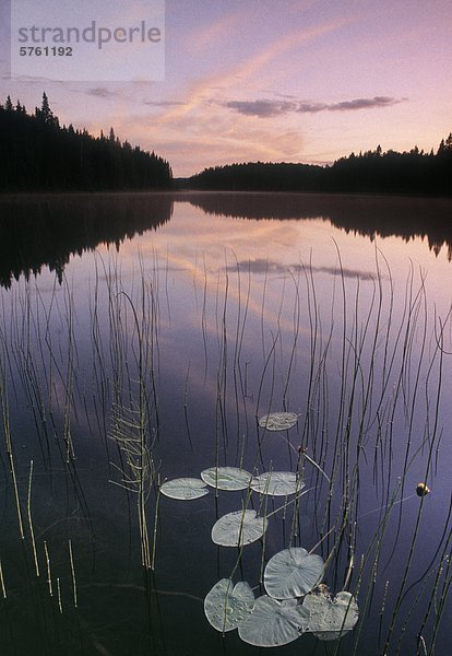 Zwei Meile See  Duck Mountain Provincial Park  Manitoba  Kanada