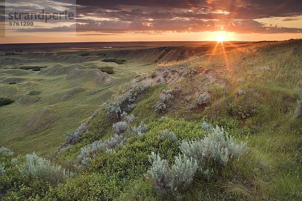 Sonnenaufgang am Schachbrett Hill in der Nähe von Leader  Saskatchewan  Kanada