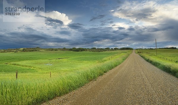 Landstraße und Zaun mit Gewitterwolken Field in der Nähe von Cochrane  Alberta  Kanada