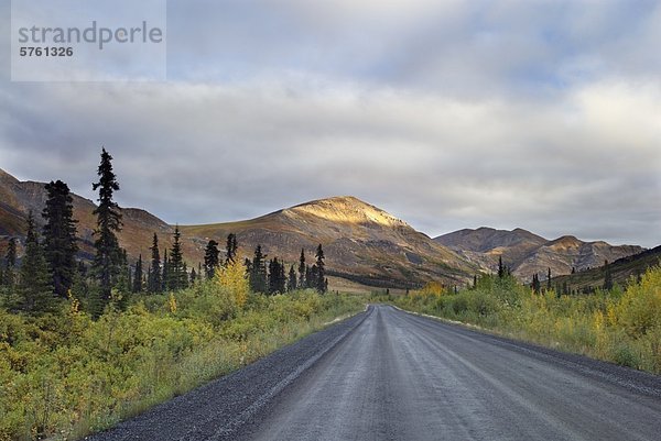 Dempster Highway  Ogilvie Mountains  Yukon Territorium  Kanada