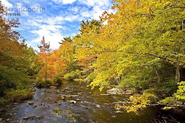 Cameron Lake Provincial Park  Nova Scotia  Kanada