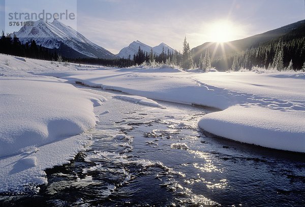 Winter-Sonnenaufgang am North Saskatchewan River in den Rocky Mountains  der Nähe Hwy 93  Banff Nationalpark  Alberta  Kanada