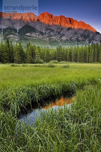 Pocaterra Ridge  Kananaskis Country  Alberta  Kanada