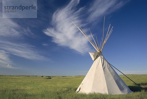 Tipi auf der Prärie  Wanuskewin Heritage Park  Saskatoon  Saskatchewan  Kanada