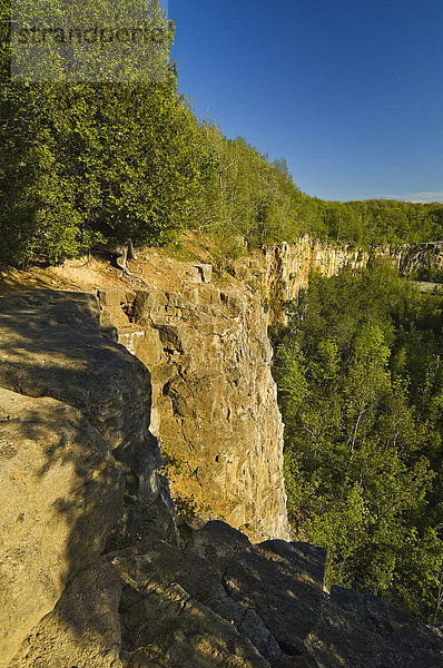 Niagara Escarpment Kalksteinfelsen Kelso/Glen Eden Conservation Area in Halton Region in der Nähe von Milton  Ontario  Kanada.