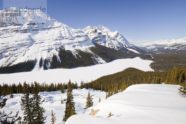 Peyto Lake und Kessel Peak im Winter  Banff Nationalpark  Alberta