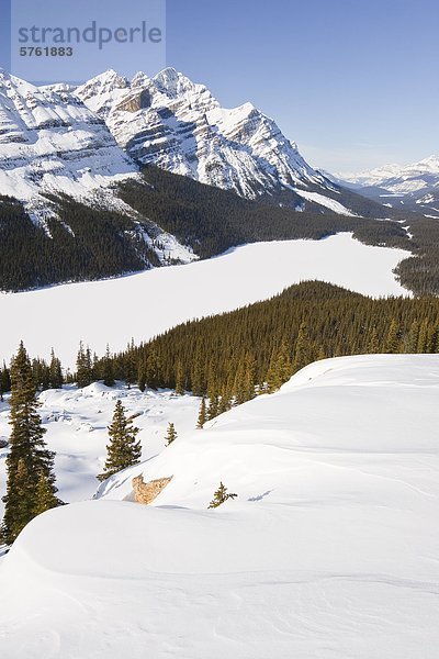 Peyto Lake und Kessel Peak im Winter  Banff Nationalpark  Alberta