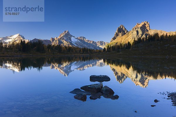 Kleiner See im Opabin Plateau  Lake O'Hara  Yoho Nationalpark  Britisch-Kolumbien  Kanada