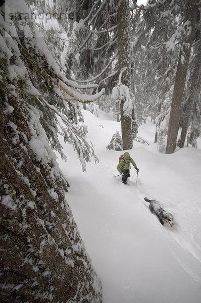 Junge Frau auf dem ersten Lake Trail in Seymour Mountain Schneeschuhwandern. North Vancouver  British Columbia  Kanada