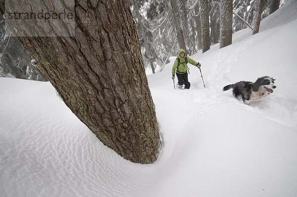 Junge Frau auf dem ersten Lake Trail in Seymour Mountain Schneeschuhwandern. North Vancouver  British Columbia  Kanada