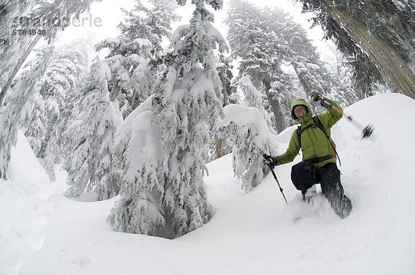 Junge Frau auf dem ersten Lake Trail in Seymour Mountain Schneeschuhwandern. North Vancouver  British Columbia  Kanada