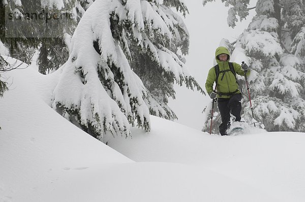 Junge Frau auf dem ersten Lake Trail in Seymour Mountain Schneeschuhwandern. North Vancouver  British Columbia  Kanada