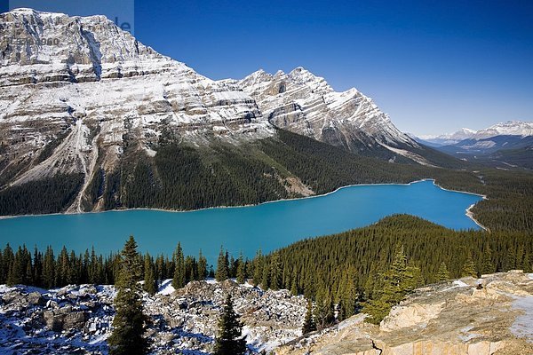 Am späten Vormittag am Peyto Lake  Banff Nationalpark  Alberta  Kanada