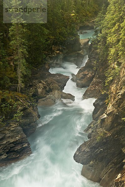 Kicking Horse Fluss  Yoho Nationalpark  British Columbia  Kanada
