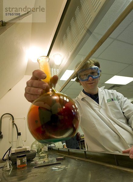 Chemie Lehrer an North Island College Campbell River Campus  mischt Chemikalien in einem Glas-Becherglas die einen Pfennig korrodiert. Campbell River  Vancouver Island  British Columbia  Kanada.