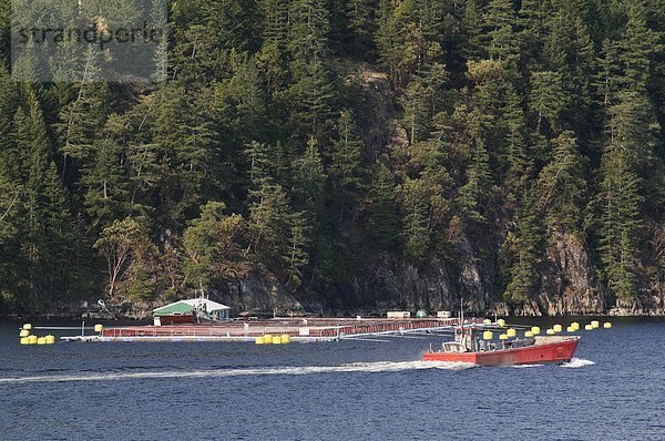 Ein Fischerboot übergibt eine Fischfarm auf der Sunshine Coast  BC.