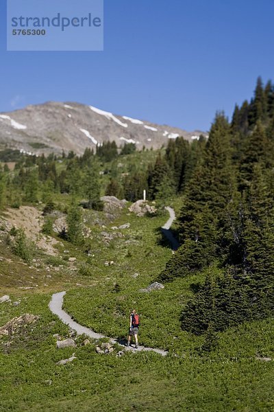 Ein Wanderer entdecken die Spuren des Sunshine Wiesen  Banff-Nationalpark  AB