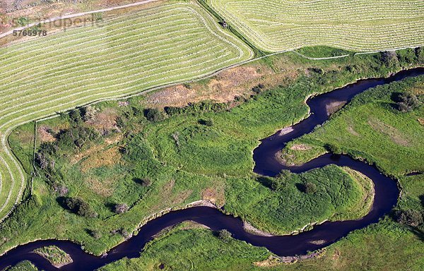 Luftbild von Zuckerrohrfeldern der Cariboo Region British Columbia  Kanada
