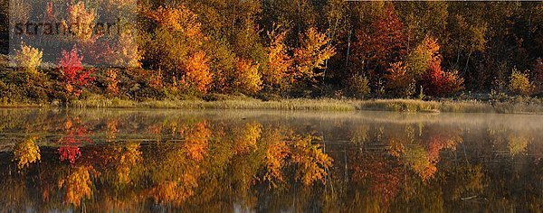 Morgen Dunst Spiegelung bunt Greater Sudbury Biber Kanada Ontario Teich Reflections