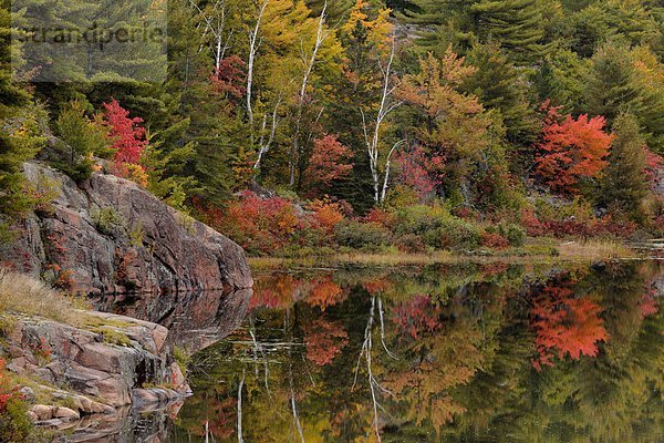 Herbst Reflexionen im Fluss Murdock  Sudbury District  Ontario  Kanada