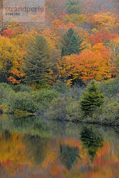 Herbst Reflexionen in Oxtongue River  Oxtongue Lake  Ontario  Kanada