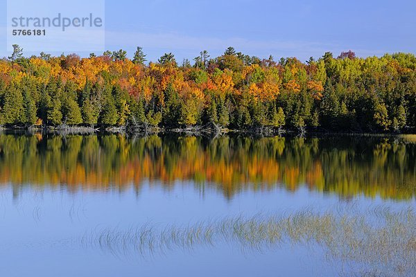 Spiegelung See Herbst Kanada Ontario Reflections