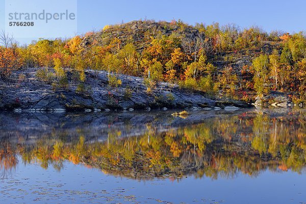 Spiegelung bunt Herbst Greater Sudbury Biber Kanada Ontario Teich Reflections
