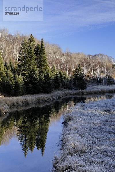 Junction Creek mit mattiertem Küstenlinie Gräser  lebhafte  Greater Sudbury  Ontario  Kanada
