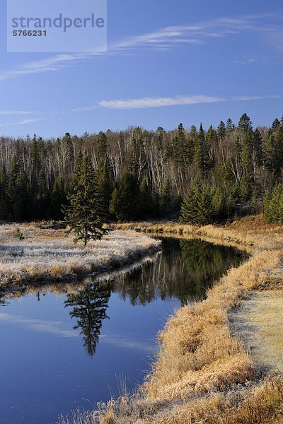 Junction Creek mit mattiertem Küstenlinie Gräser  lebhafte  Greater Sudbury  Ontario  Kanada