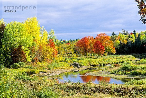 Herbstlaub  Collingwood Ecke  Nova Scotia  Kanada