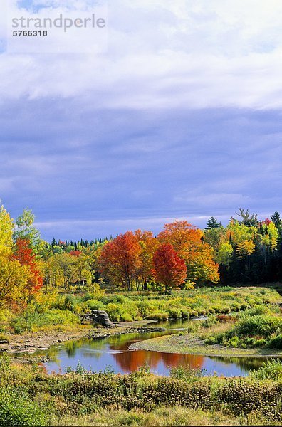 Collingwood Ecke  Nova Scotia  Kanada