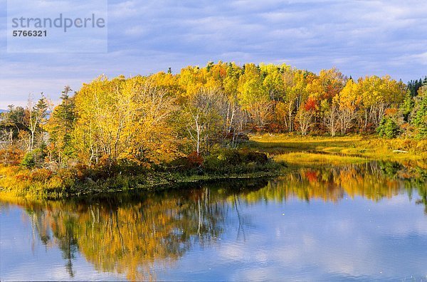 Herbstlaub spiegelt sich im Fluss  Tracadie  Nova Scotia  Kanada