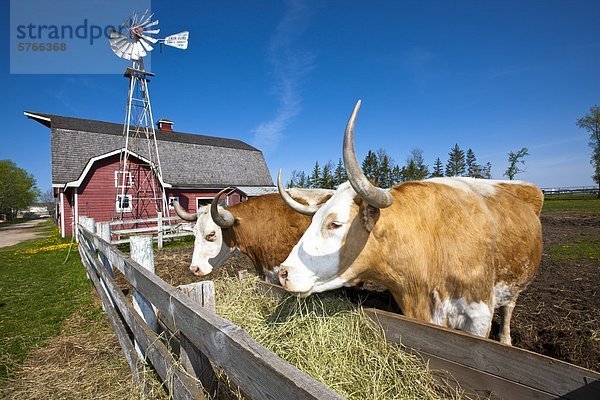 Kanada Manitoba