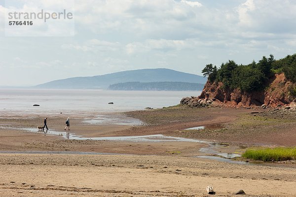 Paar Wandern bei Ebbe  Bucht von Fundy  Dorchester Cape  New Brunswick  Kanada