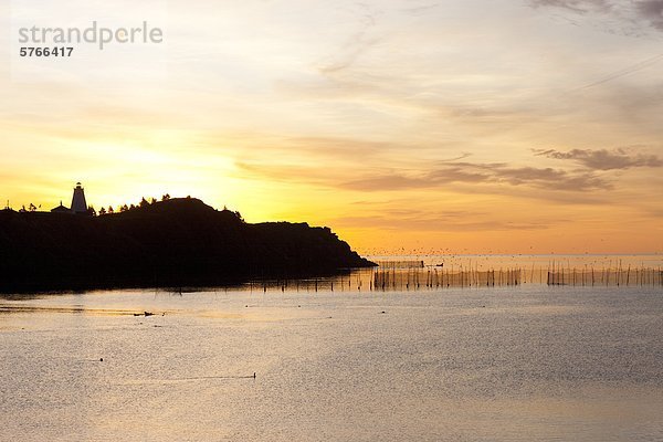 Schwalbenschwanz Leuchtturm und Weir Netze bei Dämmerung  Grand Manan Island  Bucht von Fundy  New Brunswick  Kanada