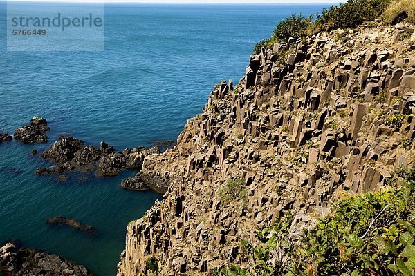 Der Säulenartige Basalt im Südwesten Kopf  Grand Manan Island  Bucht von Fundy  New Brunswick  Kanada