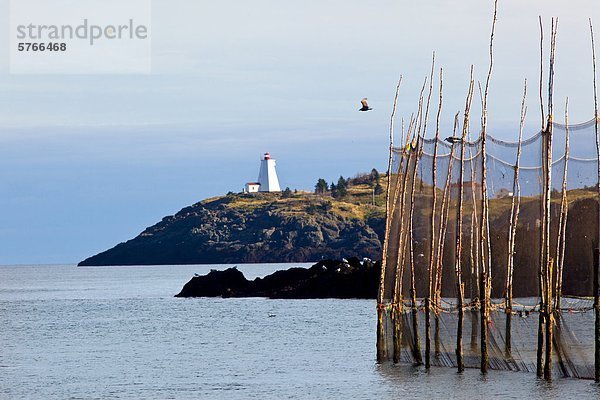 Wehr net mit Schwalbenschwanz-Leuchtturm  Grand Manan Island  Bucht von Fundy  New Brunswick  Kanada