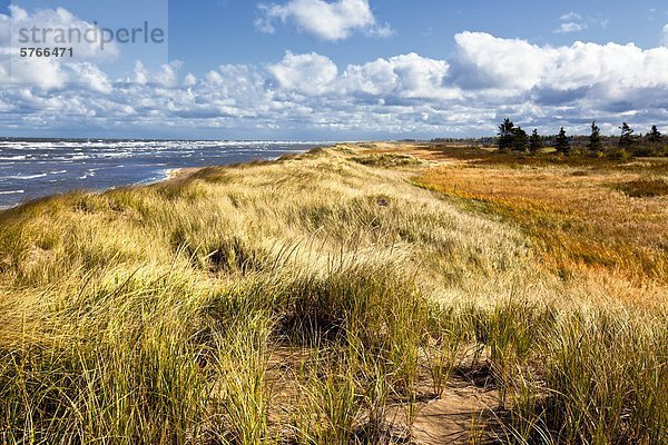Sanddüne mit Blick auf The Northumberland Strait  Cap Pele  New Brunswick  Kanada