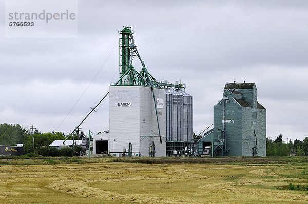 Weizenfelder und Korn Aufzüge in der Nähe der Bahn verfolgt in Barone  Alberta  Kanada