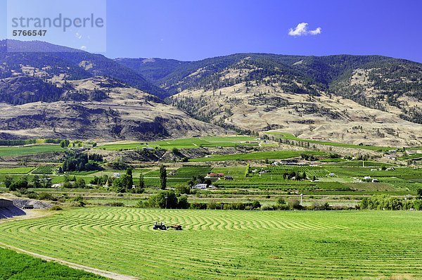 Eine Spur endet Heumahd ein Feld in der Nähe von Osoyoos  Britisch-Kolumbien  Kanada