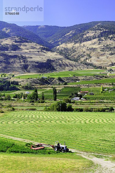 Eine Spur endet Heumahd ein Feld in der Nähe von Osoyoos  Britisch-Kolumbien  Kanada