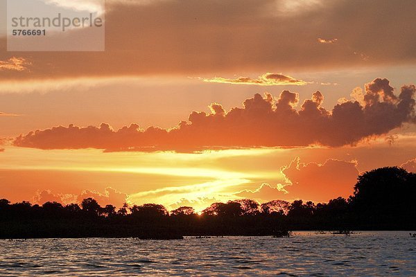 Sonnenuntergang  Pantanal Feuchtgebiete  südwestliche Brasilien  Südamerika