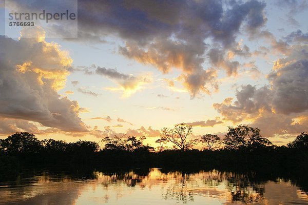 Sonnenuntergang auf dem Pantanal Feuchtgebiete des südwestlichen Brasilien  Südamerika
