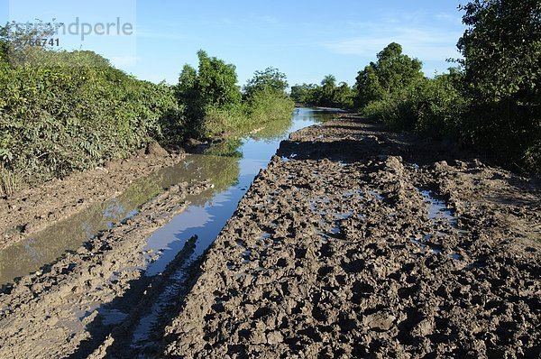 Überflutet Abschnitt der Autobahn Trans-Pantanal  Pantanal Feuchtgebiete  südwestliche Brasilien  Südamerika