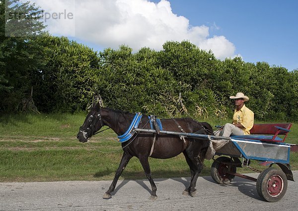 Pferd angetrieben Karre in ländlichen Gegend in der Nähe von Holguin  Kuba