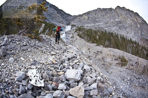 Ein Mann nähert sich dem alpinen Klettern 'Coire Dubh Integrale 5.7  WI3'  Canmore  Alberta  Kanada