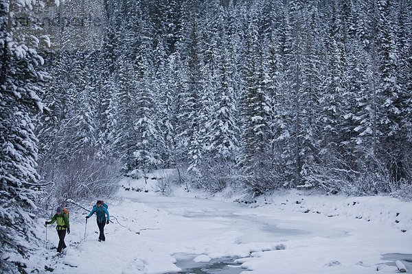 Zwei weibliche Eiskletterer Überschrift um zu klettern Moonlight WI4  auch Thomas Creek  Kananaskis  Alberta  Kanada