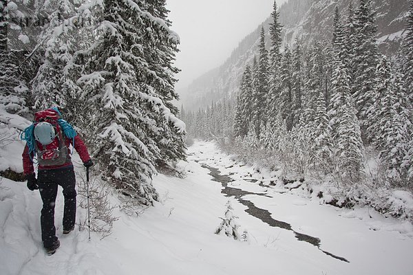 Eine weibliche Eiskletterer auf dem Ansatz zu klettern Moonlight WI4  auch Thomas Creek  Kananaskis  Alberta  Kanada