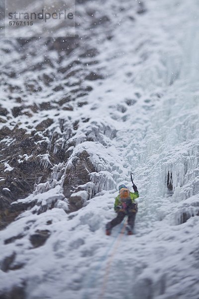 Eine starke weibliche Kletterer Eis klettert Moonlight WI4  auch Thomas Creek  Kananaskis  Alberta  Kanada