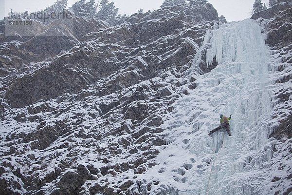 Eine starke weibliche Kletterer Eis klettert Moonlight WI4  auch Thomas Creek  Kananaskis  Alberta  Kanada